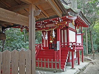 摂社・高龗神社(ﾀｶｵｵｶﾐ)